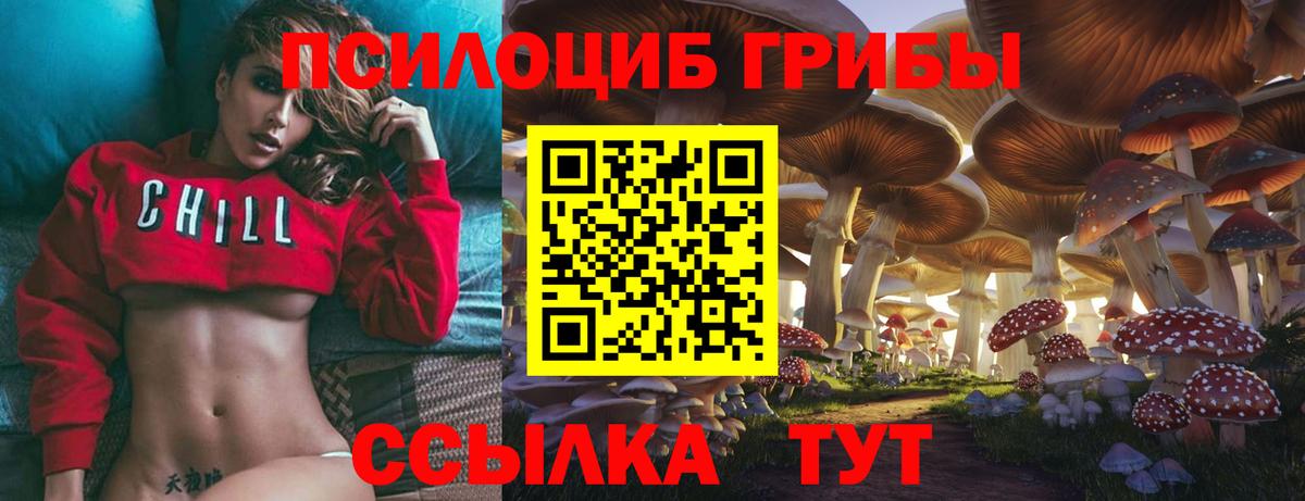 Альфа ПВП Нягань